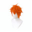 Haikyu Shoyo Hinata Wig - Hinata Shoyo Costume Wig Prop