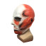 Attack On Titan Mask - Titan Cosplay Costume Mask