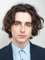 Timothée Chalamet Wig - Curly Messy Short Wig Timothée Chalamet Cosplay Costume