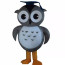 Giant Owl Mascot Costume