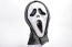 Scream Mask Cosplay