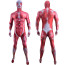 Bertholdt Armin Colossal Titan Cosplay Costume
