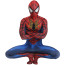 Amazing Spider Man Comics Style Lycra Cosplay Costume
