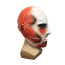 Attack On Titan Mask - Titan Cosplay Costume Mask