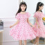 Strawberry Shortcake Costume - Ruffle Dress Strawberry Shortcake Cosplay