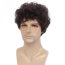 Harry Styles Wig - Curly Brown Wig Harry Styles Cosplay Costume