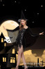 Halloween Masquerade Ball Sexy Witch Black Dress Costume
