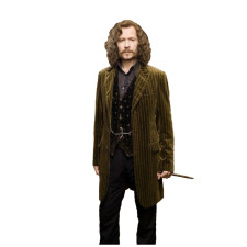 Sirius Black Wig - Brown Curly Hair Wig Sirius Cosplay Costume
