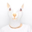 Rat Mask Costume