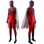 Spider Man Flipside Costume - Flipside Spider Man Cosplay
