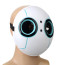 The Wild Robot Mask Prop - The Wild Robot Costume Cosplay Mask