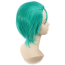 One Piece Roronoa Zoro Wig - Reunion After Two Years Roronoa Zoro Cosplay Costume Wig Prop