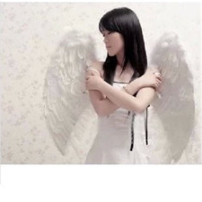 Angel Wings Cosplay 1 Meter Wide