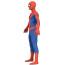 The Spectacular Animated Series Spider-Man Costume - Bodysuit Mask Spider Man Cosplay