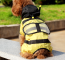 Dog Rain Jacket Bee Costume