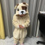 Kids Bulldog Costume - Onesie Jumpsuit Bulldog Cosplay