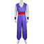 Dragon Ball Super Gohan Costume - Purple Gohan Cosplay