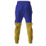 Saint Seiya Knights Of The Zodiac Leo Aiolia Costume - Hoodie Sweatpants Leo Aiolia Cosplay