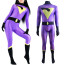 Jayna Wonder Twins Lycra Cosplay Costume