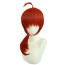 Rurouni Kenshin Kenshin Himura Wig - Kenshin Himura Cosplay Costume Wig Prop