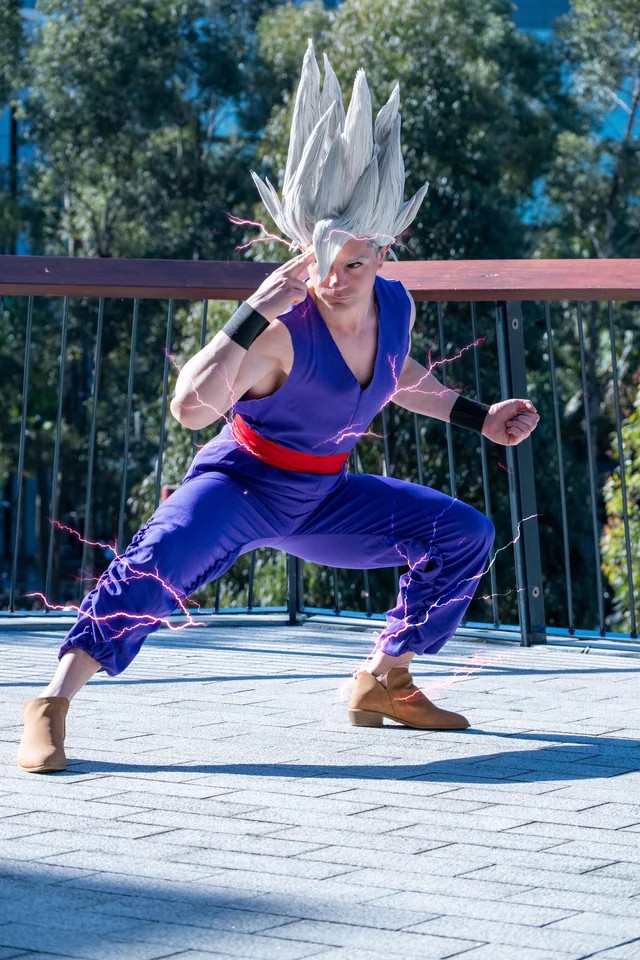 Dragon Ball Super Gohan Costume - Purple Gohan Cosplay