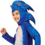 Sonic the Hedgehog Costume