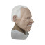 Joe Biden Cosplay Mask