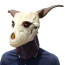 The Ancient Magus Bride Elias Ainsworth Cosplay Mask