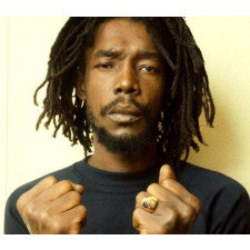 J Cole Wig - Dreadlock Medium Length Wig J Cole Cosplay Costume