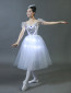 LED Butterfly Ballet Ballerina Costume