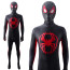 Marvel Spider Man Into the Spider Verse Miles Morales Lycra Cosplay Costume
