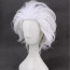 SNK vs. Capcom SVC Chaos Serious Mr. Karate Wig - Mr. Karate Costume Wig Prop