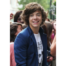Harry Styles Wig - Curly Brown Wig Harry Styles Cosplay Costume