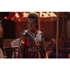 The Woman King Nanisca Costume - Warrior Suit Nanisca Cosplay