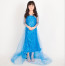 Girls Elsa Classic Blue Dress