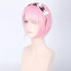 Re Zero Rem Blue Pink For Adults