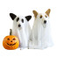 Dog Ghost Costume - White Blanket Cloak Dog Ghost Cosplay