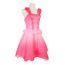 Barbie Fairytopia Elina Costume - Pink Dress Elina Cosplay