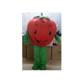 Giant Strawberry Mascot Costume