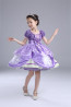 Sofia the First Deluxe Costume Dress For Girls