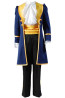 Disney Beauty And The Beast Prince Cosplay Costume For Men Halloween Costume
