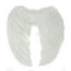 Angel Wings Cosplay .5 Meter Wide