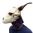 The Ancient Magus Bride Elias Ainsworth Cosplay Mask