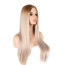 Ariana Grande Wig - Long Blonde Straight Wig Ariana Grande Cosplay Costume