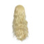 Hocus Pocus Sarah Sanderson Wig - Sarah Sanderson Long Cosplay Costume Wig Prop
