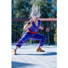 Dragon Ball Super Gohan Costume - Purple Gohan Cosplay