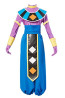 God of Destruction Beerus Dragon Ball Z Costume