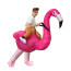 Riding Flamingo Inflatable Costume