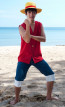 One Piece Movie 2023 Luffy Costume - Luffy Cosplay