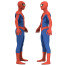 The Spectacular Animated Series Spider-Man Costume - Bodysuit Mask Spider Man Cosplay